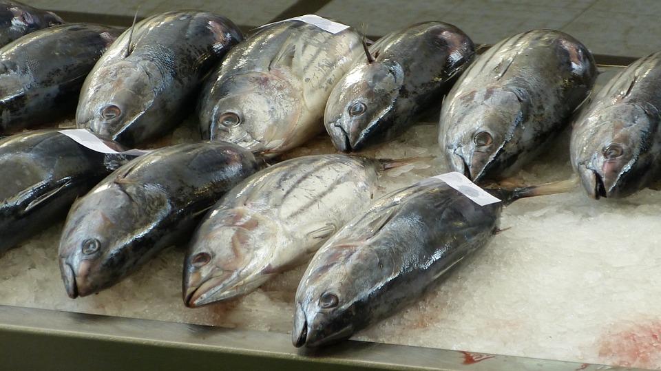 fish-market-