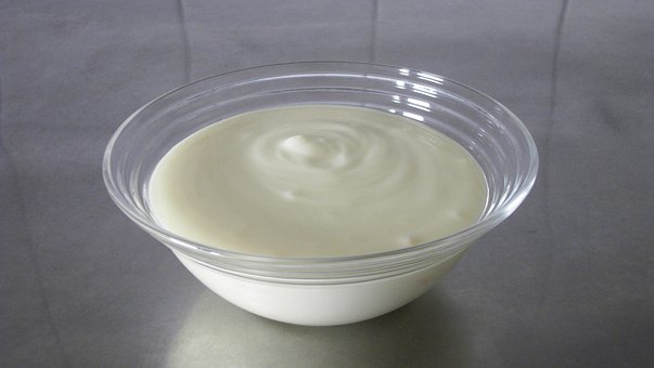 yogurt- giaourti