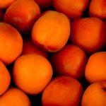 apricot-15