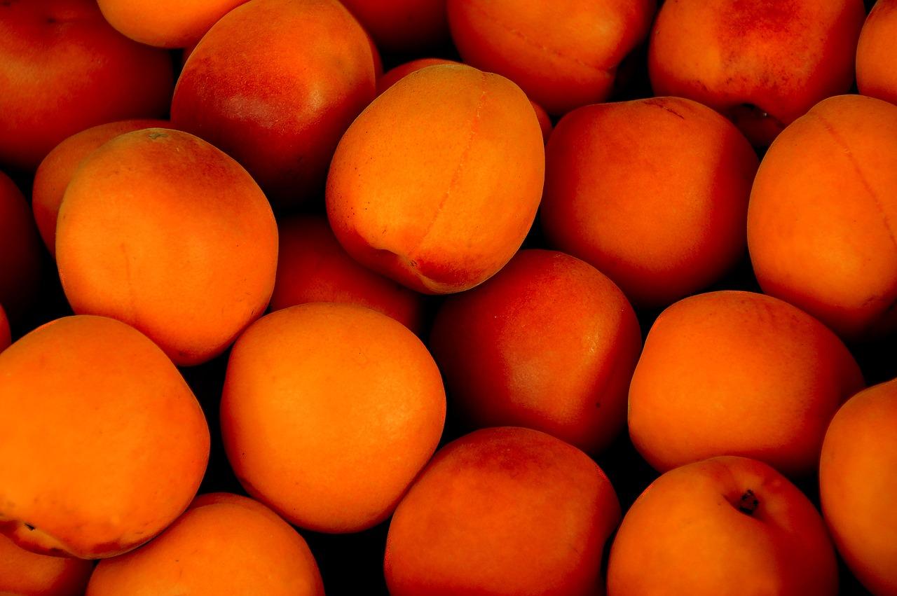 apricot-15