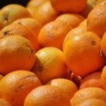 oranges,πορτοκάλια,παραγωγή,πορτοκαλιών