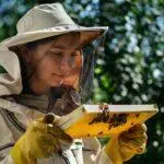 Young Female Beekeeper Hold Wooden Frame With Honeycomb. Collect Honey. Beekeeper On Apiary. Beekeeping Concept.
